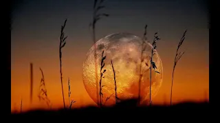 اسلام صبحي تلاوة قبل النوم تلاوة هادئة وراحة نفسية تلاوة تريح الاعصاب بدون اعلانات ارح سمعك 