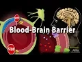 Blood Brain Barrier Animation
