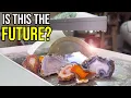 Cutting TOP-SHELF Agates with the World s Most Controversial Lapidary Saw