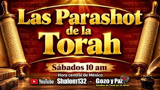 PARASHÁ SEMANAL :KI  TAVÓ - CUANDO ENTRES  APRENDAMOS MAS DE LA BENDITA TORAH!