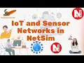 IoT Sensor Network Simulation in NetSim Dissertation Assist Box