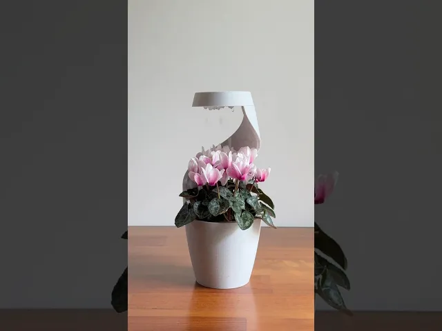Eve, desk vase/pot planter. video thumbnail