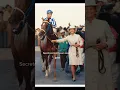 The greatest race horse to ever live died 34 years ago #edit #horse #secretariat #bigred #legend