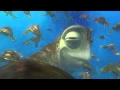 FINDING NEMO 3D Clip - Exit Buddy