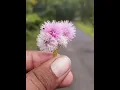 Download Lagu full bass song #song#dj#viral#Shorts#flower#trending#beast#carry#roast#beautiful#love#prank#macro#