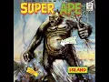 Lee Perry & The Upsetters - Super Ape (1976) - 04 - Underground