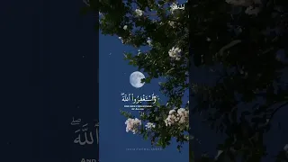 استغفر الله العظيم وأتوب إليه شريف مصطفى قرآن اكسبلور Quran شريف مصطفى Explore Shorts  استغفر الله العظيم وأتوب إليه شريف مصطفى قرآن اكسبلور Quran شريف مصطفى Explore Shorts