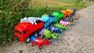 Konvoi Truk Warna-Warni Bawa Banyak Hewan & Sapi! Seru Banget! 🚛🐄