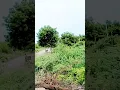 Download Lagu Kaise tera tuta dil jod du me 😱😱 Ramjane || Alka, Udit and Sonu hits songs status #shorts #viral