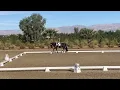 Don Snow EQ 76 8 Training Level Test 2 Desert Dressage III