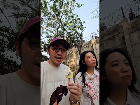 HUKUMAN ISTRI CELAMITAN
