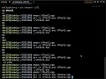 Conditional Execution Part 2