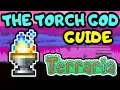 TERRARIA 1 4 TORCH GOD GUIDE How to summon the Torch God event Terraria Torch Gods Favour