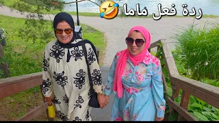 درت ل ماما غفلة 5/5 حتى فاجأتها😍رجعنا سنوات للوراء... نهار زوين معانا 