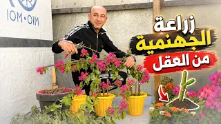                                                                   دندنها