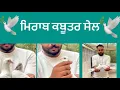 Download Lagu ਮਿਰਾਬ ਕਬੂਤਰ ਸੇਲ ਪੇਊਰ ਫੁੱਲ ਗਰੱਟੀ 7696032300