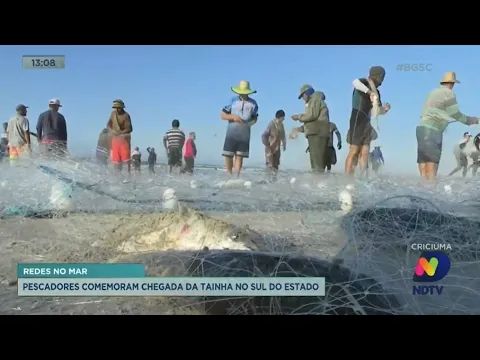 Pescadores comemoram segundo dia seguido com pesca de boas quantias de tainha no Balneário Rincão