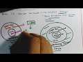 Why java is secure than c java tuitorials Object oriented Programming