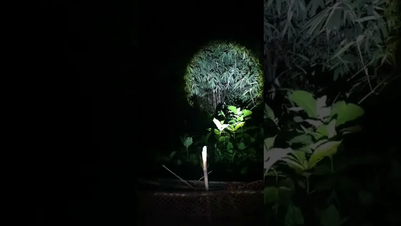 haunted place live video