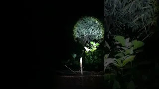 haunted place live video
