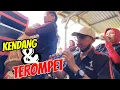 Download Lagu CUTA MUDA GROUP❗❗KENDANG DAN TEROMPET 💥 KIDUNG BUBUKA