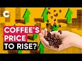 Coffee What Moves its Price Explaining the Economics of Coffee