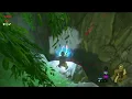 Travelers Sword for Weapon Connoisseur side quest BOTW