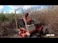 Mowing down 15FT TALL Thorn Bushes with the VENTRAC Tough Cut You won t believe this