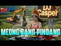 Lagu MEONG BAANG PINDANG - TRI PUSPA VERSI DJ REMIX || DJ BALI TERBARU 2025 || KUMPULAN LAGU BALI