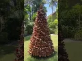Download Lagu Ever seen ✨🎅such a unique indonesian coconut #Christmas 🎄 before? #Bali #lombok white sand #Beach
