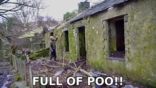 Our Off Grid Cottage is FULL of POO… Not Joking!!