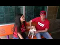 El Paso Animal Services promotes fostering as shelters fill up