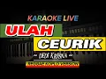 Lagu ULAH CEURIK ~ DEDI KRISNA || KARAOKE LIVE VERSI REGGAE KOPLO
