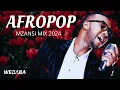 Afropop Mzansi Mix 2024 | Dj Webaba