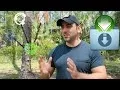 Axel for Faster Downloads Linux Shell Tutorial