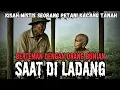 Download Lagu BERTEMAN DENGAN ORANG BUNIAN SAAT DI LADANG‼️KISAH CERITA HOROR MISTERI‼️