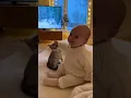 Lagu “La tendresse d’un bébé pour son chat 😍🐾”#bébé, #chat,#tendresse,#momentmagique#amour,#youtubeShorts