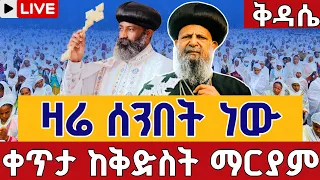 Live ዛሬ ሰንበት ነው ሥርዓተ ቅዳሴ ሐምሌ 20 ቀጥታ ከ5 ኪሎ ቅድስት ማርያም EOTC Kidassie Jul 26 Teamnomedia 
