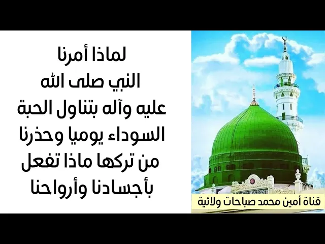 ⁣لماذا أمرنا النبي بتناول الحبة السوداء يوميا وحذر من تركها ماذا تفعل بأجسادنا وأرواحنا؟