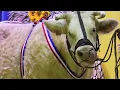 Download Lagu LOT 181 - Cowllection Simon Genetic 2022