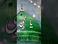 Download Lagu Ya Nabi Slam Alaika #shorts #shortvideo #shortsvideo #naatsharif #arabicnaatstatus #naatstatus