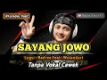Download Lagu Sayang jowo - karaoke duet tanpa vokal cewek dangdut koplo