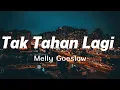 Lagu Tak Tahan Lagi - Melly Goeslaw || Lirik