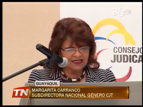 Plan para implementación de la ley para erradicar la violencia contra la mujer