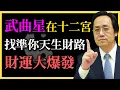 倪海廈：武曲星在十二宮，找準你天生財路，財運爆發翻身逆襲！你走對發財路了嗎？#武曲星#紫微鬥數#命理#人生方向#財運分析#命盤解讀