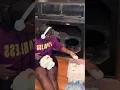 Pulling Burmese Python eggs