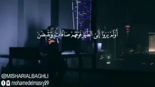 مشاري البغلي سورة الملك كاملة 