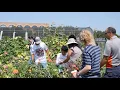 AgDiscovery Summer Camp at UTRGV