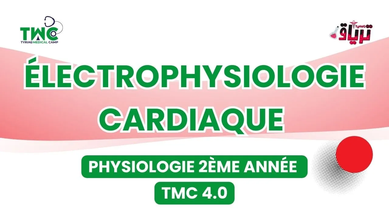 #physiologie 2ème : Électrophysiologie Cardiaque - By Meriem Bouharis