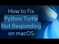 How to Fix Python Turtle Not Responding on macOS